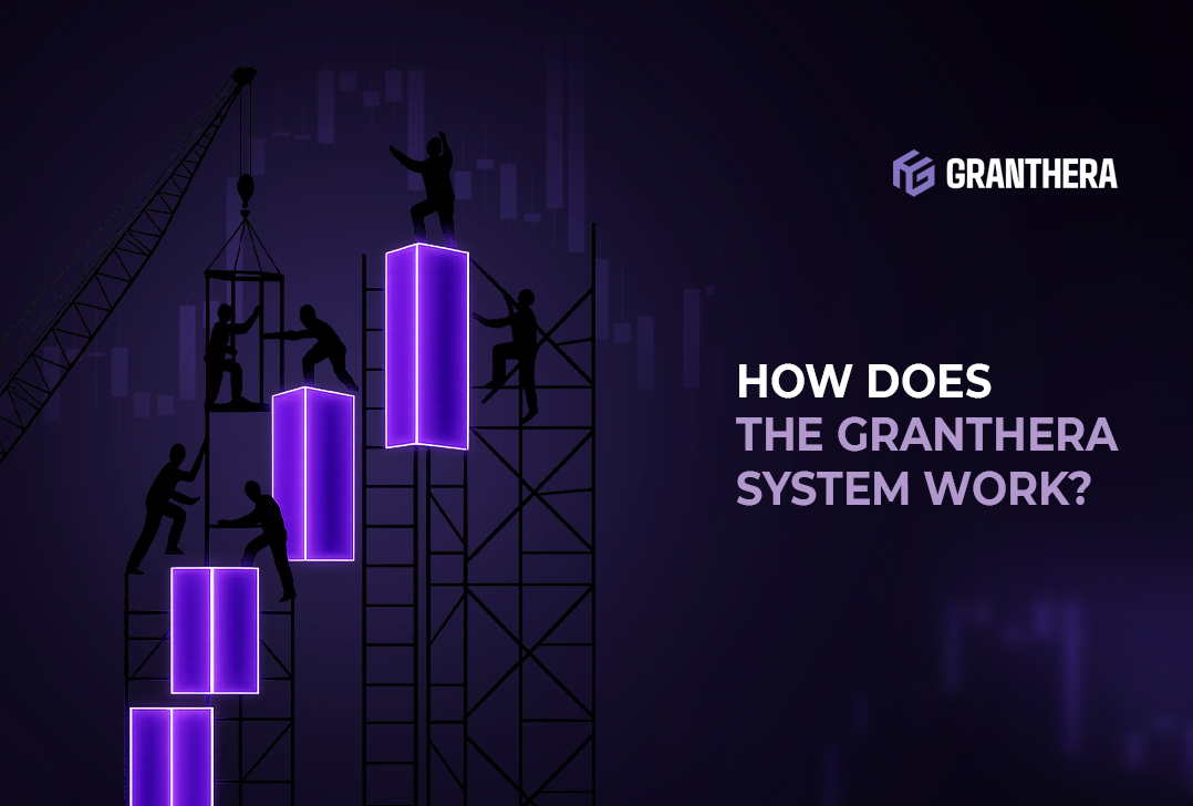 How does the Granthera system work? How does the Granthera system work?