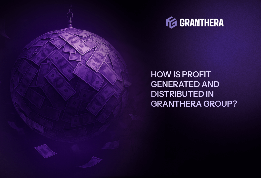 How is profit generated and distributed in Granthera Group?
How is profit generated and distributed in Granthera Group?